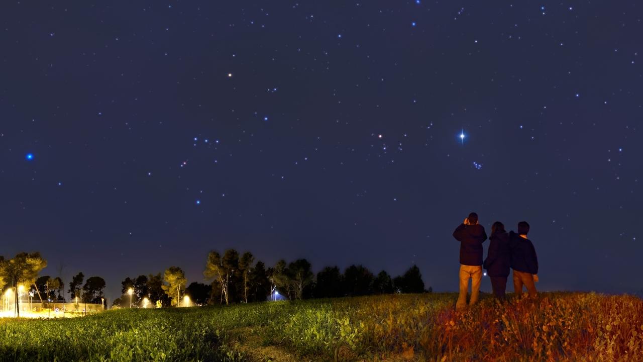 Discover the Magic of Stargazing in Florida